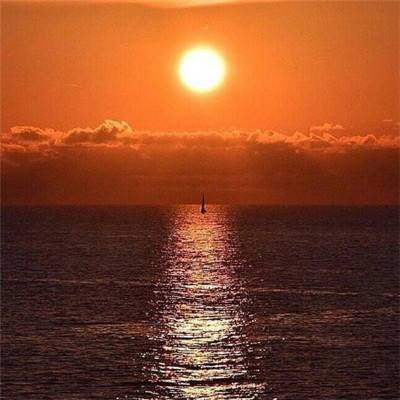 leyu·乐鱼(中国)体育官方网站app下载截图